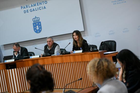 Imaxe da nova:O plan centralizado da Xunta acordado cos concellos permitiu a retirada de máis de 131.000 niños de vespa velutina desde a súa post...