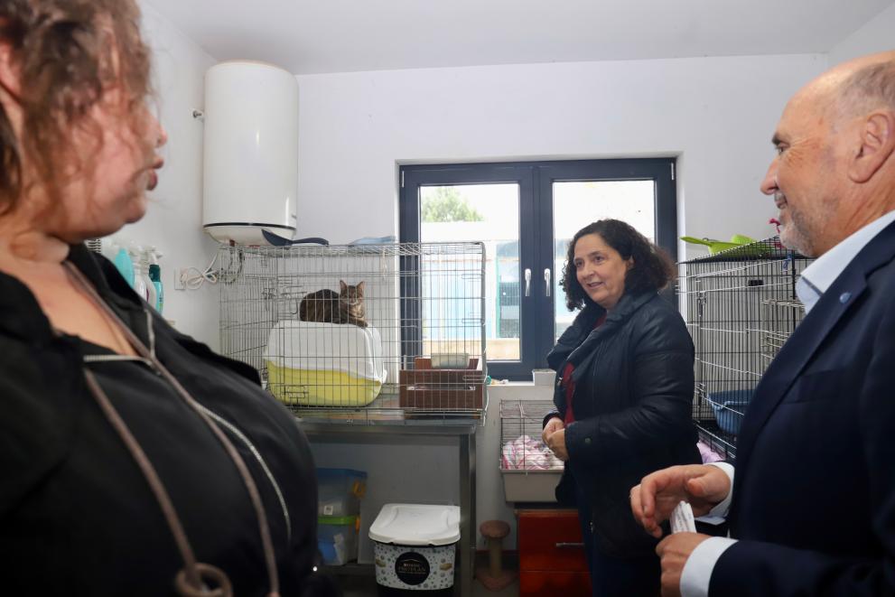 Imagen 4 de 5 asociada a la noticia