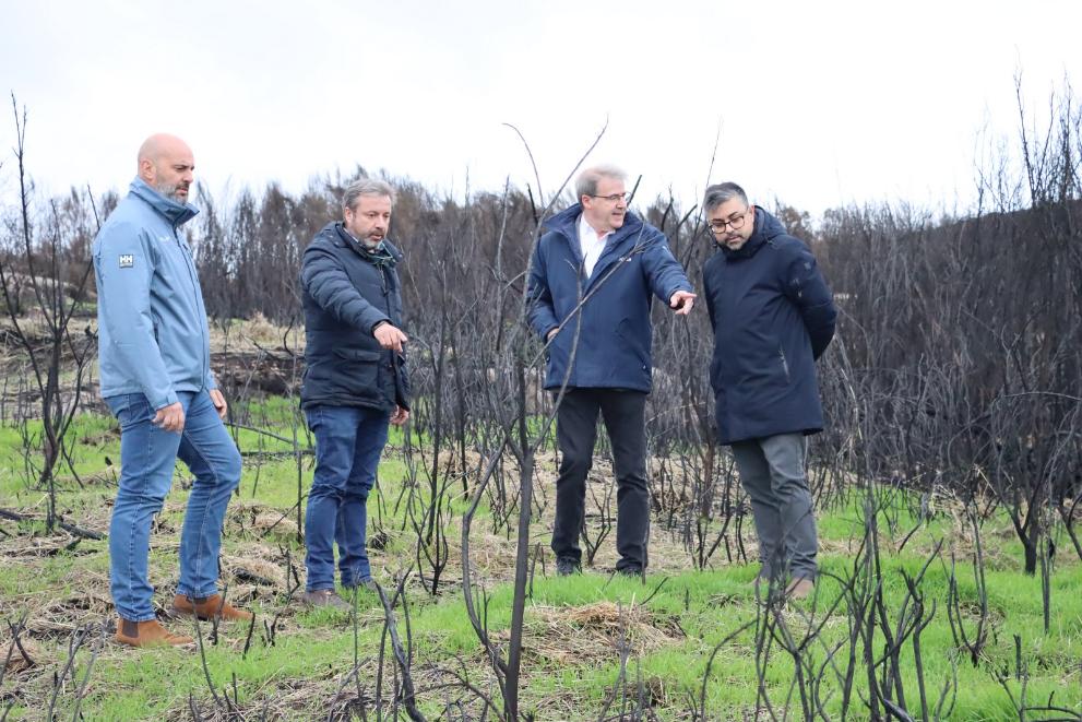 Imaxe 2 de 6 asociada á nova