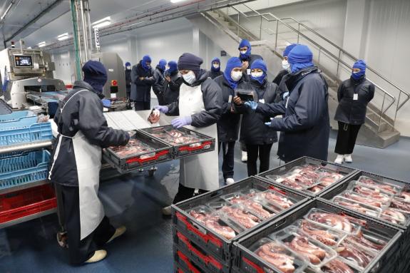 Imaxe da nova:Villaverde aposta pola industria transformadora do mar aumentando ata os 17 M€ o orzamento do 2026