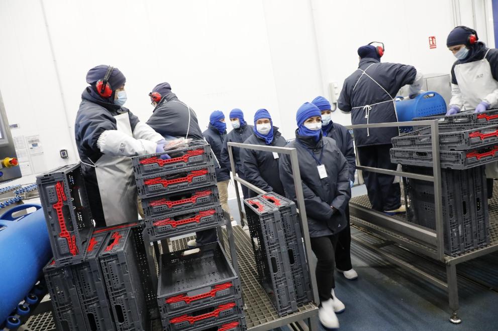 Imaxe 3 de 5 asociada á nova