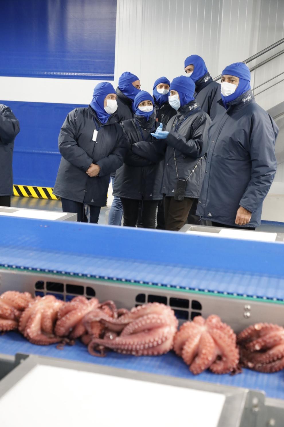 Imaxe 4 de 5 asociada á nova