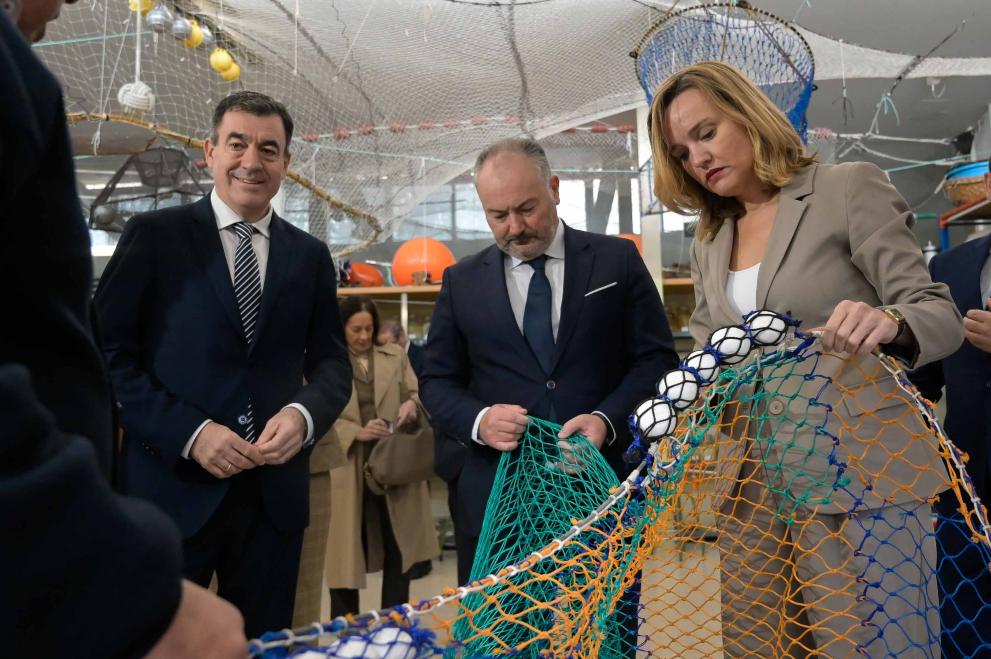 Imaxe 4 de 8 asociada á nova