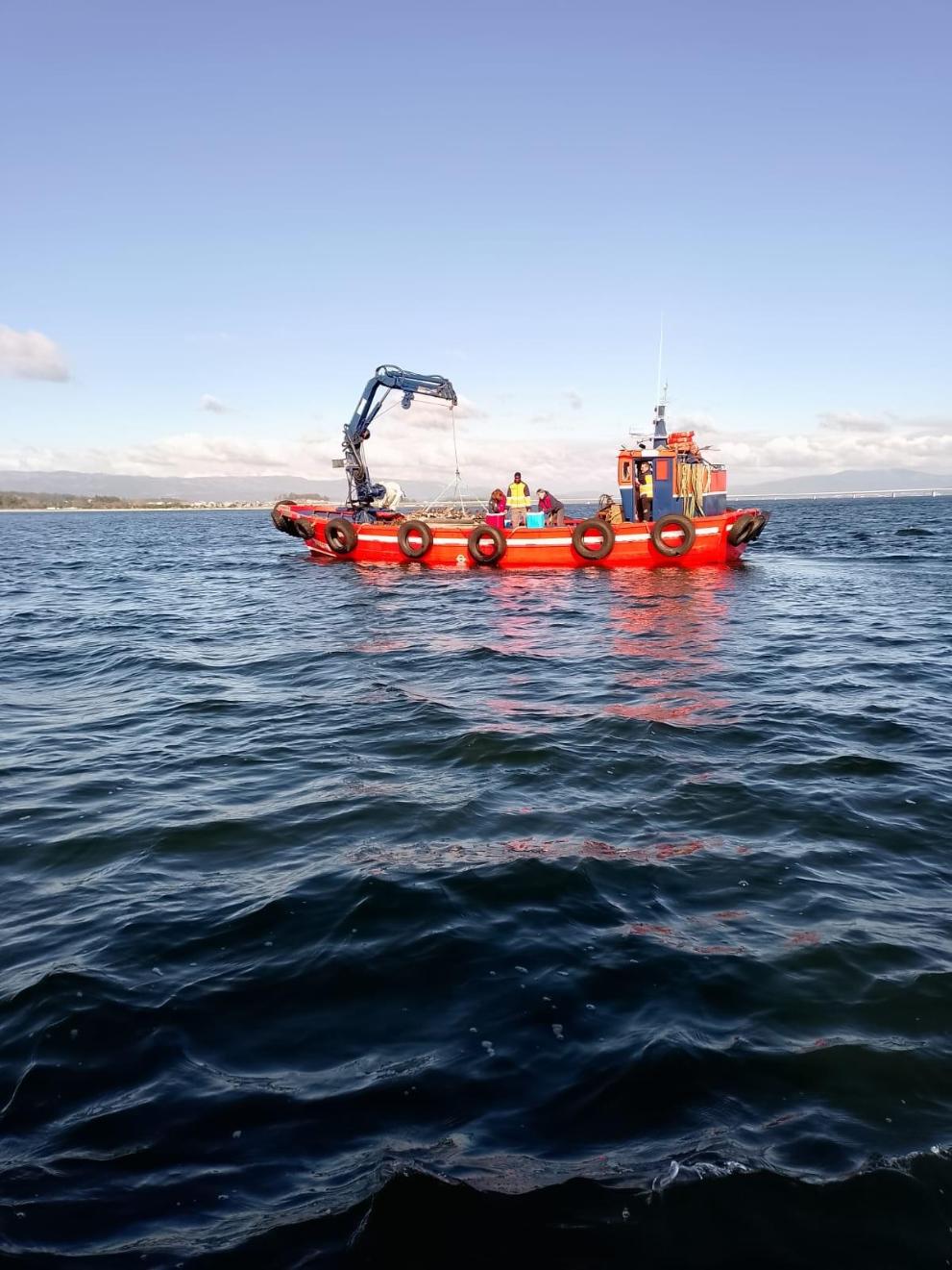 Imaxe 1 de 3 asociada á nova