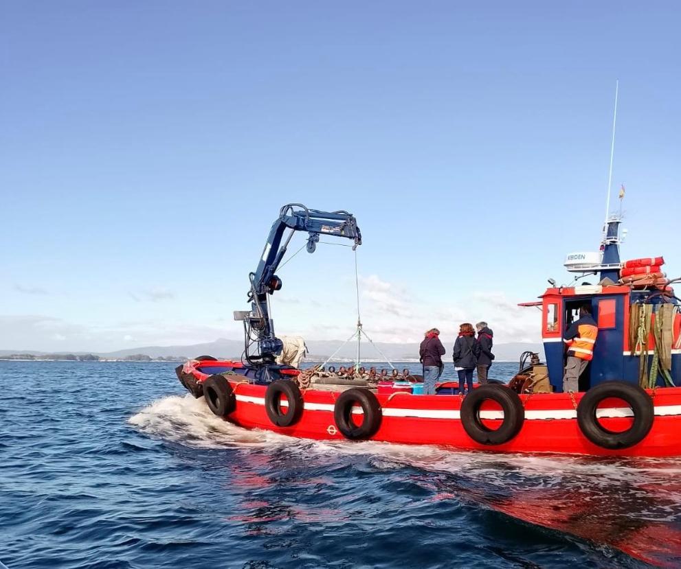 Imaxe 2 de 3 asociada á nova