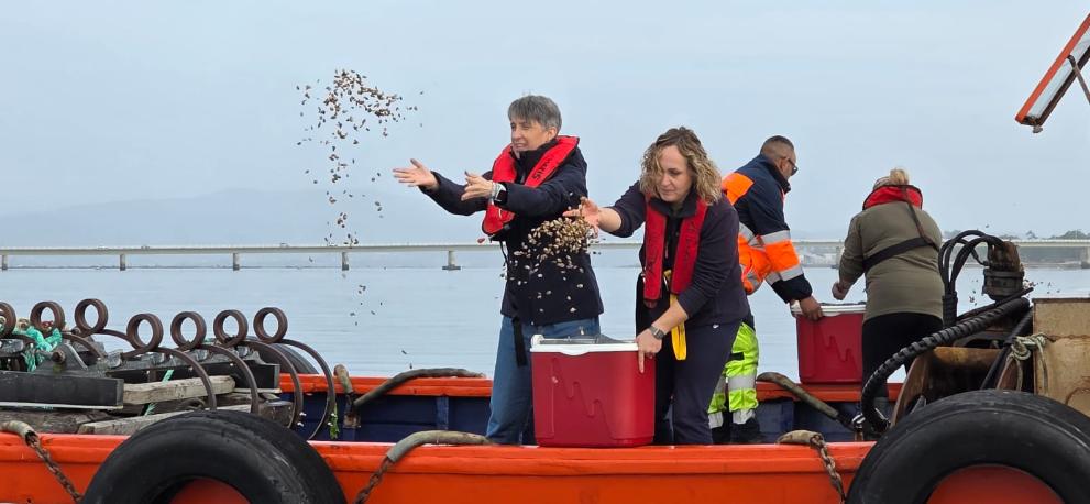 Imaxe 3 de 3 asociada á nova