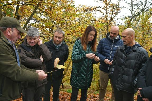 Imagen de la noticia:Medio Rural destaca el papel de las agrupaciones forestales de gestión conjunta en el incremento de la productividad y lucha...