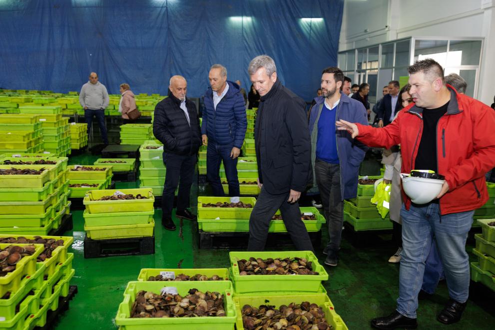 Imaxe 6 de 10 asociada á nova