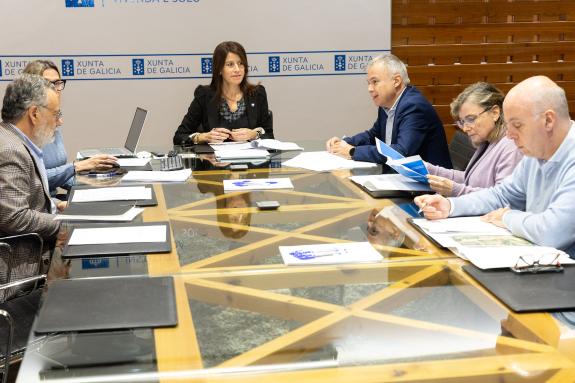 Imagen de la noticia:La conselleira María M. Allegue preside una nueva reunión del Consejo de Administración de la Sociedad de Vivienda Pública d...