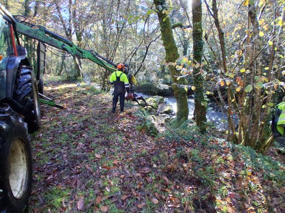 Imaxe da nova:A Xunta realiza labores de conservación fluvial en máis de 3,7 quilómetros de dous ríos no concello de Neda