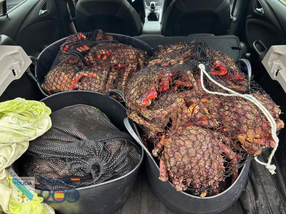 Imaxe da nova:A Unidade de Policía Nacional Adscrita e Gardacostas de Galicia comisan 74 quilos de centola en Rianxo