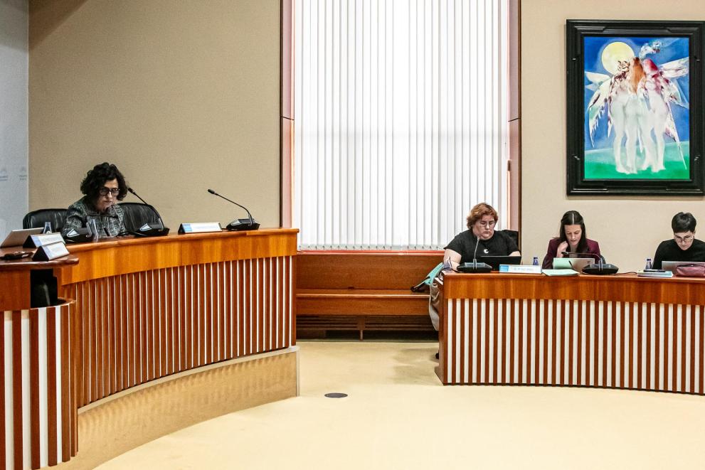 Imaxe 1 de 2 asociada á nova