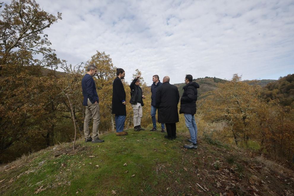 Imaxe 2 de 4 asociada á nova