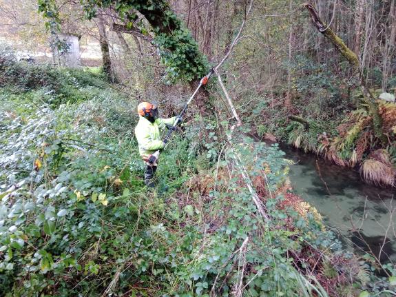 Imaxe da nova:A Xunta realiza labores de conservación fluvial en 5 km dos ríos Miñor e Zamáns, no Concello de Gondomar