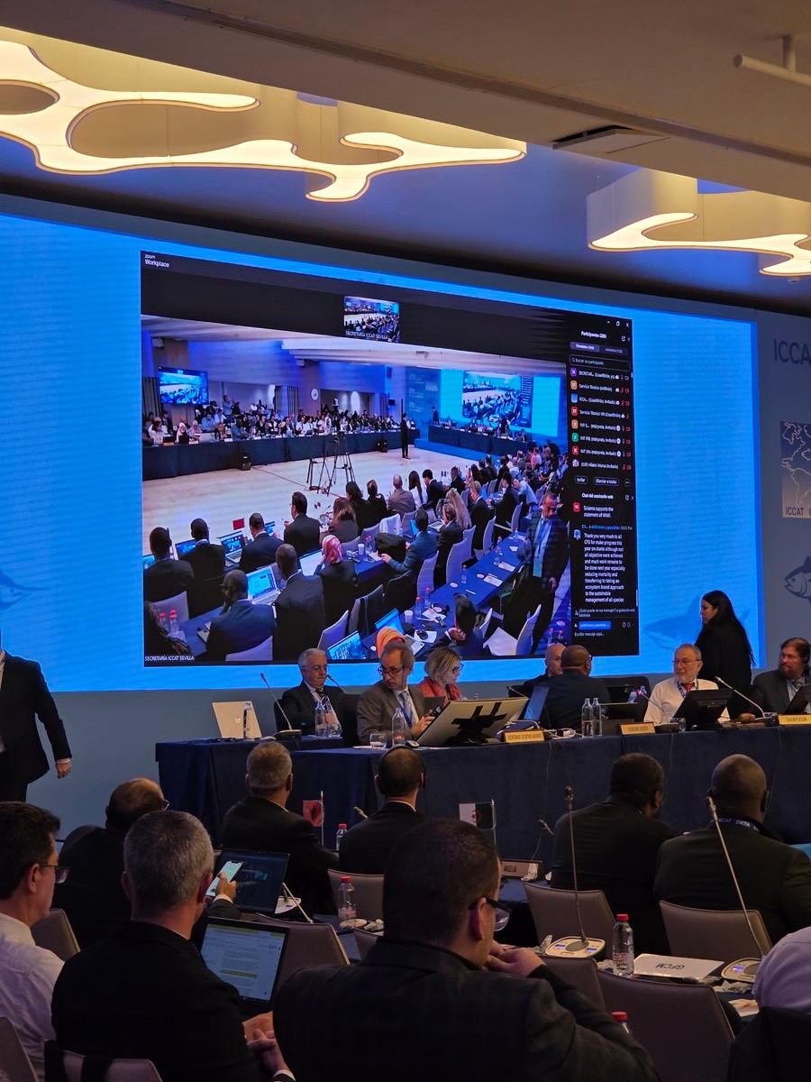 Imagen 2 de 2 asociada a la noticia