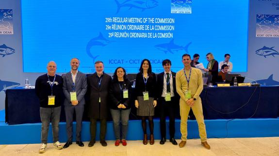 Imaxe da nova:Galicia reclama ao Goberno central que defenda unha maior asignación para España da cota que o ICCAT outorga á Unión Europea