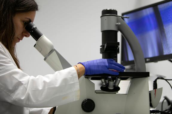 Imaxe da nova:A Xunta incrementa ata máis de 64 M€ as achegas no ano 2026 para grupos de investigación e contratos predoutorais e posdoutorais