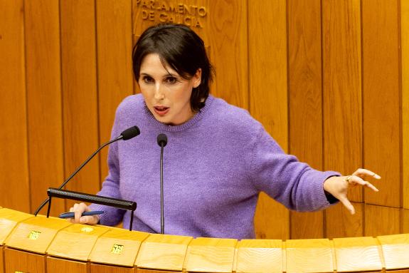 Imaxe da nova:Lorenzana advirte dunha corrente de negacionismo industrial contra os proxectos que aproveitan os recursos naturais en Galicia