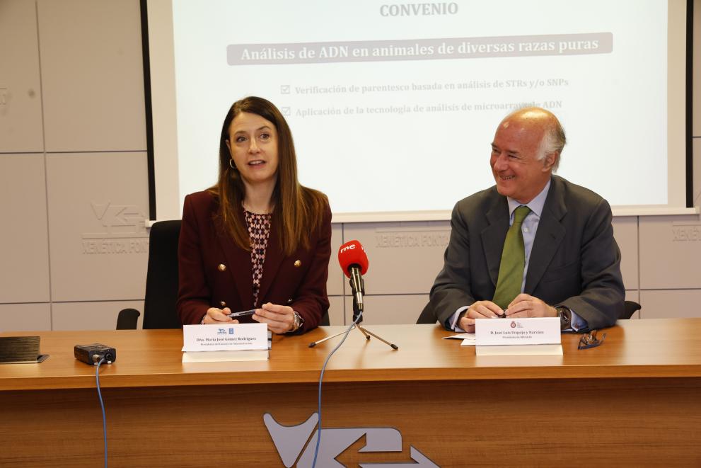 Imaxe 2 de 2 asociada á nova