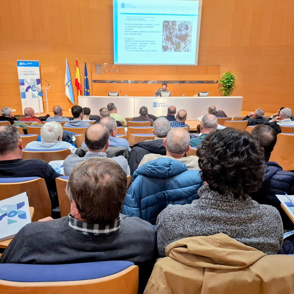 Imaxe 2 de 2 asociada á nova