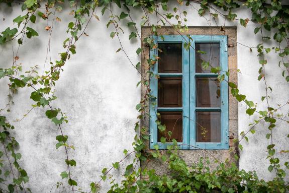 Imaxe da nova: Rueda anuncia un novo plan para impulsar no rural a rehabilitación de vivendas e adaptar locais baleiros como fogares cun investim...