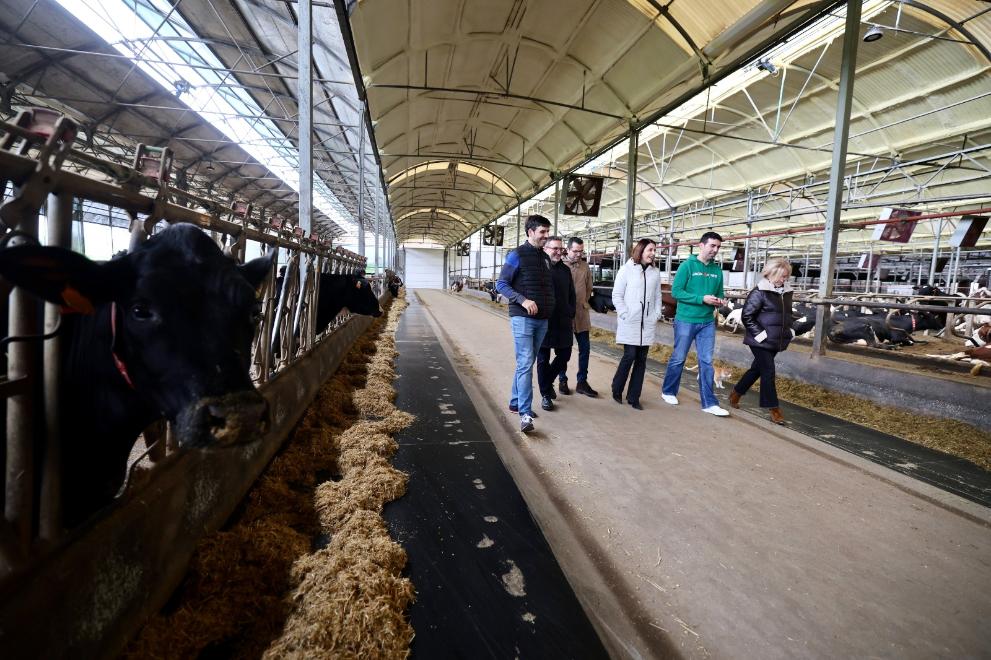 Imaxe 4 de 4 asociada á nova