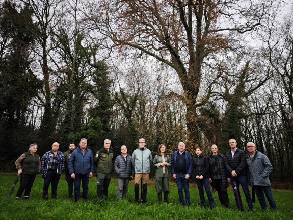 Imagen de la noticia:La Xunta anima a los propietarios de árboles singulares a solicitar las ayudas para actuaciones de mejora y conservación que...