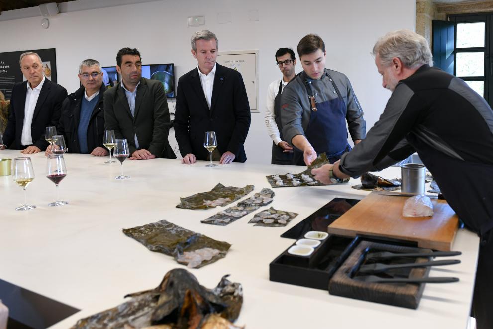 Imaxe 4 de 11 asociada á nova