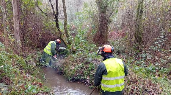 Imaxe da nova:A Xunta realiza labores de conservación fluvial en máis de 7 quilómetros nos ríos Mandeo, Mendo e Xerpe, nos concellos de Betanzos ...