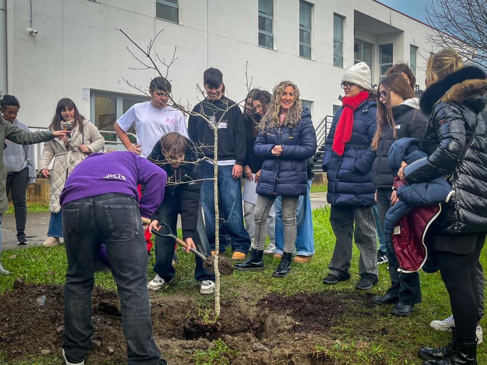 Imaxe 1 de 4 asociada á nova