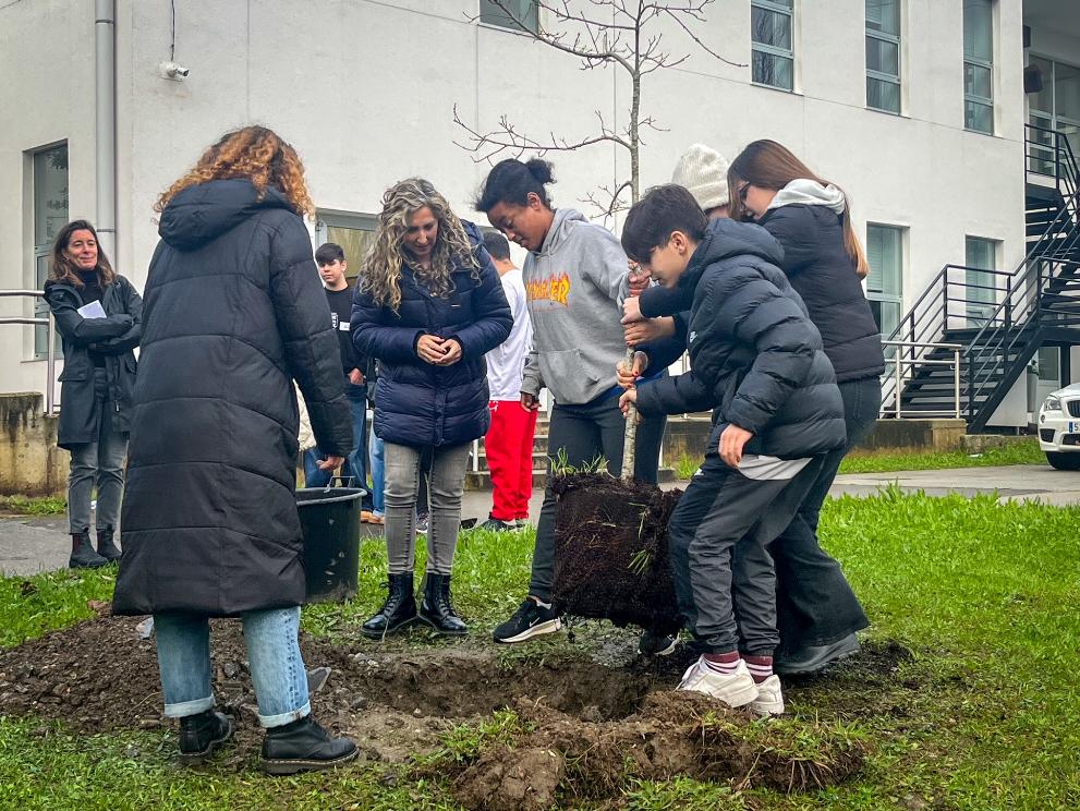 Imaxe 2 de 4 asociada á nova