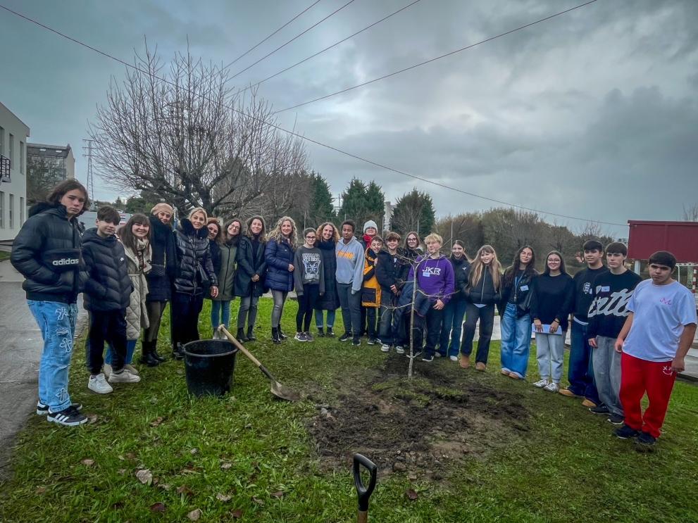 Imaxe 4 de 4 asociada á nova