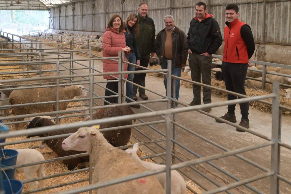 Imaxe 1 de 2 asociada á nova