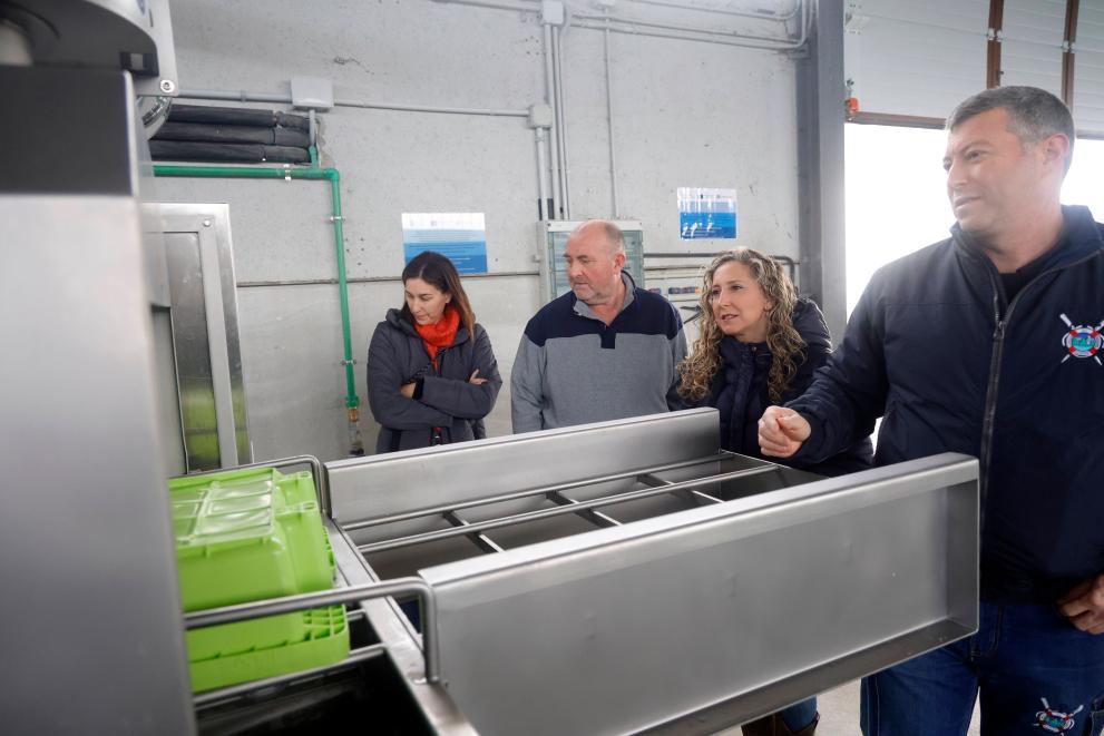 Imaxe 4 de 4 asociada á nova