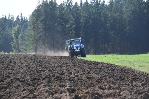 Imaxe da nova:Medio Rural publica por primeira vez as bases reguladoras das axudas para a sucesión de explotacións agrarias co fin de promover a ...