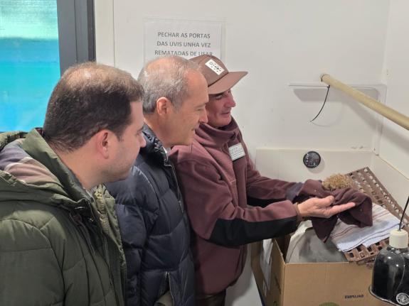 Imaxe da nova:A Xunta inviste preto de 150.000 euros na mellora do centro de recuperación de fauna silvestre de Cerdedo-Cotobade