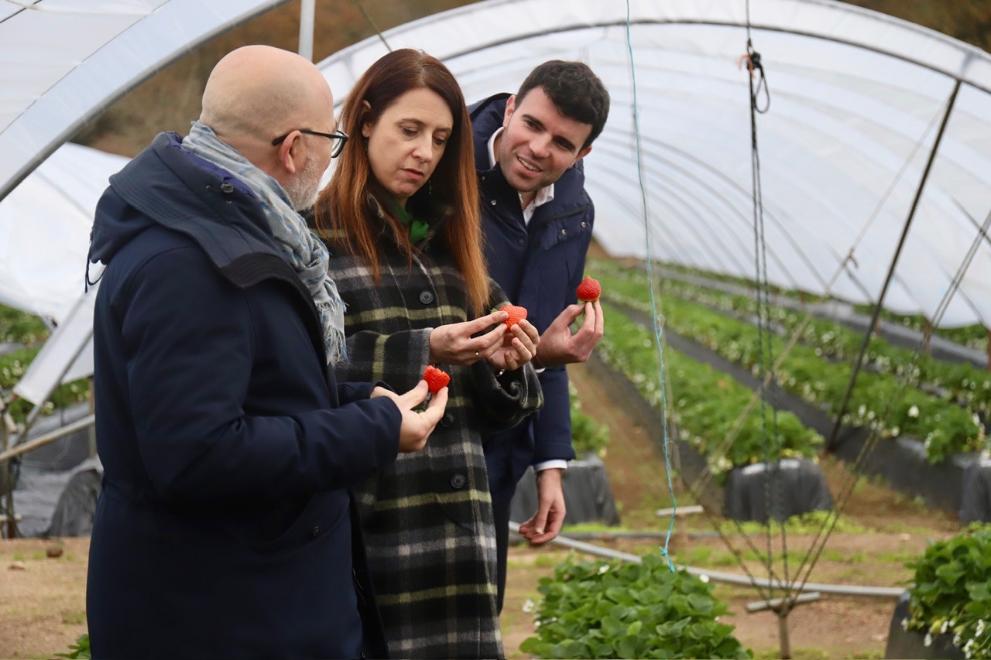 Imaxe 2 de 2 asociada á nova