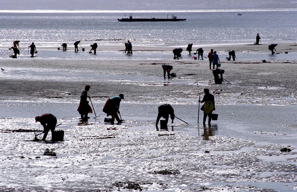 Imaxe 1 de 1 asociada á nova