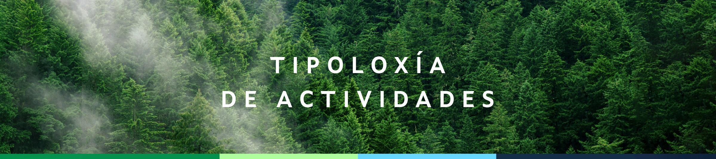 TIPOLOXÍA DE ACTIVIDADES