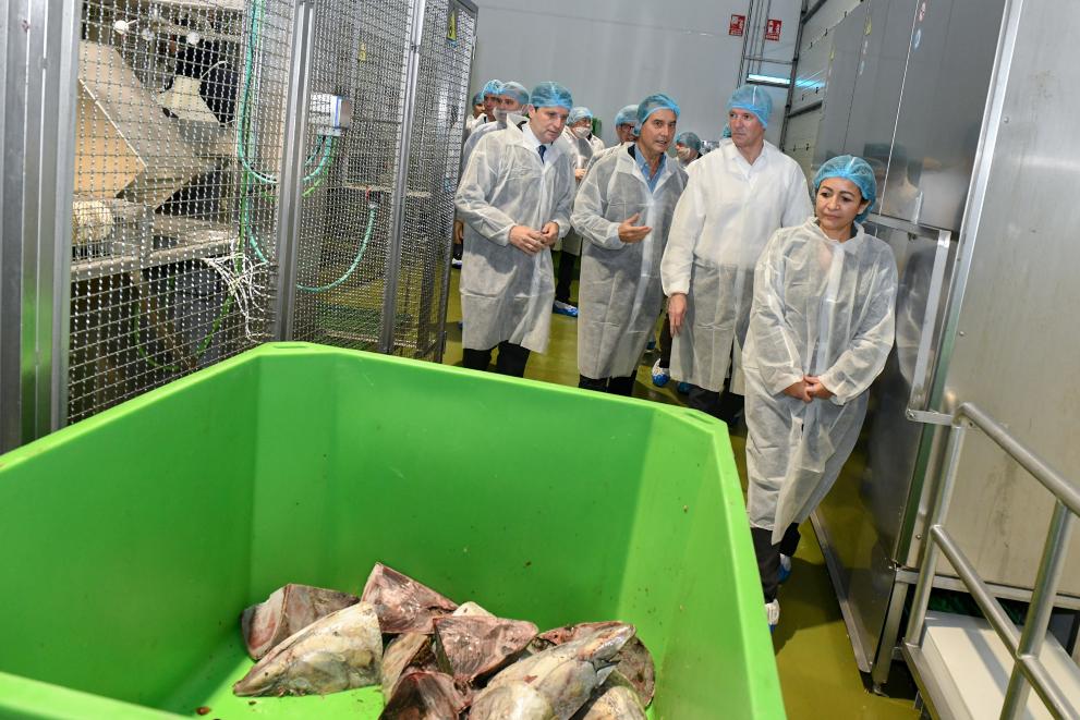 Imagen 11 de 15 asociada a la noticia