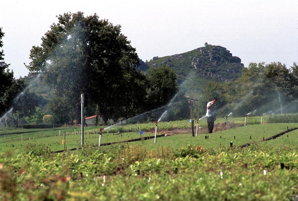 Imaxe 1 de 1 asociada á nova