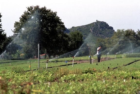 Imaxe da nova:A Xunta convoca unha nova liña de achegas para mellorar servizos no rural e apoiar a fixación de poboación