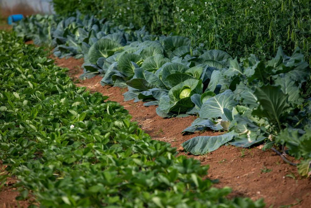 Imaxe 1 de 1 asociada á nova