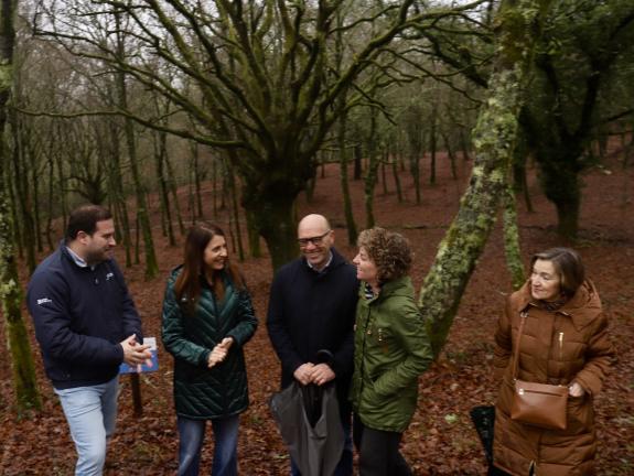 Imagen de la noticia:María José Gómez destaca a aposta da Xunta polo impulso da silvicultura produtiva de coníferas e frondosas cunha nova convoc...