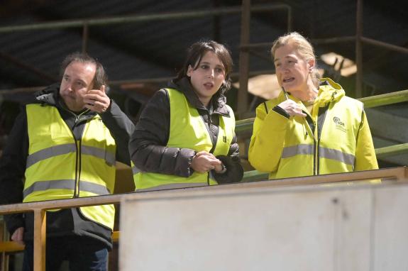 Imaxe da nova:Lorenzana anuncia axudas para empresas do sector forestal-madeira que suman máis de 16 M€