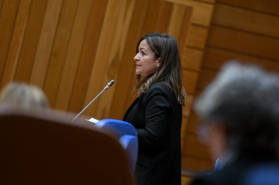Imaxe da nova:Villaverde reafirma no Parlamento o seu apoio á frota artesanal fronte a un regulamento de control que debe flexibilizar a súa apli...