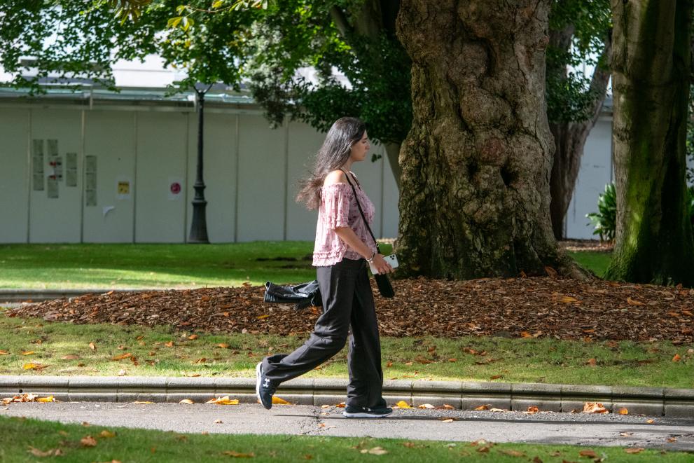 Imaxe 1 de 1 asociada á nova