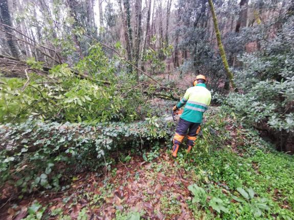 Imagen de la noticia:La Xunta realiza labores de conservación fluvial en más de 3,6 kilómetros en los ríos Vilacoba y Vilaboa, en los ayuntamient...
