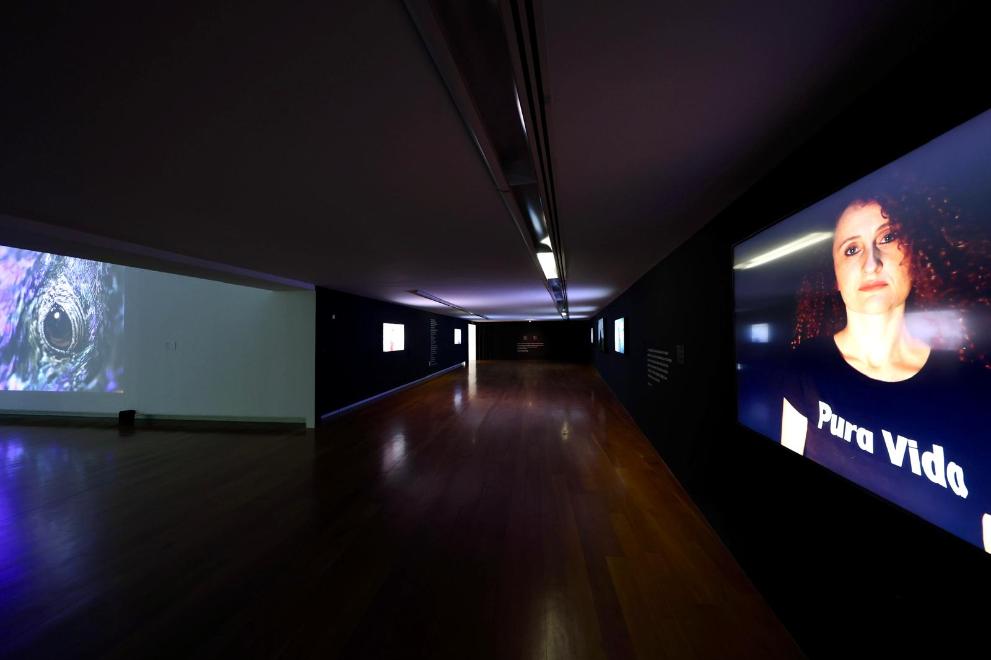 Imagen 4 de 5 asociada a la noticia