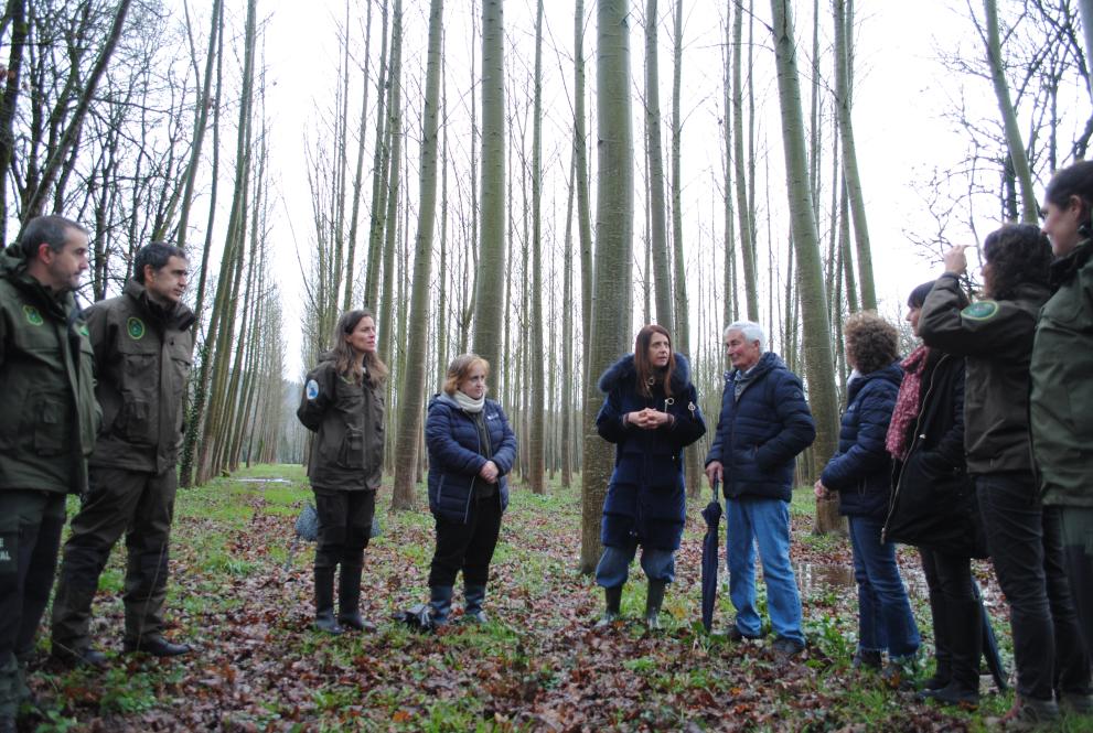 Imaxe 2 de 2 asociada á nova